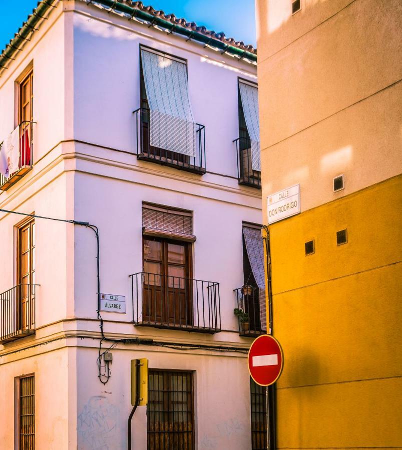 Don Rodrigo Malaga